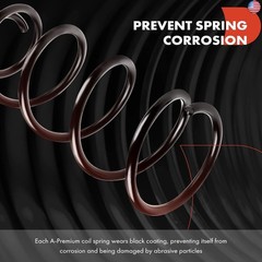 A-Premium 2Pcs Rear Left and Right Suspension Coil Spring Set Compatible with