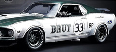 Mustang Ford 1 18 GT 12 Race Car Classic Custom Built Model 24 1967 1969 1970 40