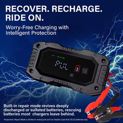12V 20 Amp Smart Battery Charger Maintainer with Repair Mode Works with Lifepo4,