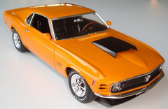 FORD Mustang Race Car Custom Classic18Boss GT 1:24Built Model12Carousel Org1969