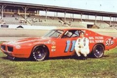 #11 Buddy Baker STP Petty Dodge 1971 1/24th Scale Waterslide Nascar Decals
