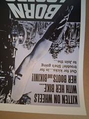 Very cool vintage 1960’s BORN LOSERS biker movie poster 30 yr old reprint GREAT