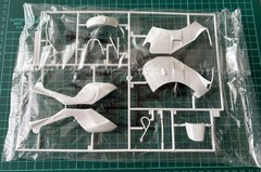Aoshima RG250Gamma 1984 Plastic Model Kit 1/12 Limited Edition Japan Import