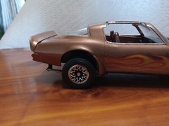 Pro Built Super Detailed Custom paint 1/25 Scale Model. They’re Amazing