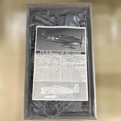 Hasegawa F6F-5E HELLCAT Original 1/72 Plastic Model Kit Vintage Japan Import