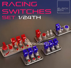 1/24 1/25 Scale Resin Race Switches