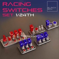 Racing Switches 1/24 Scale