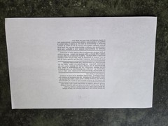 AMT ERTL #24 Dupont Monte Carlo 1:25 #38069A DECALS
