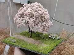 Realistic Moss Grassland Base Model Scene Display