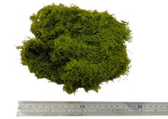 Simulation Landscaping Moss Wool Yarn Turf Green Plant Decoration Scene Material