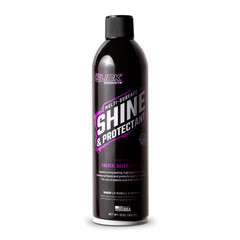 Shine and Protectant Spray Coating for Plastic, Viny, Fiberglass and More