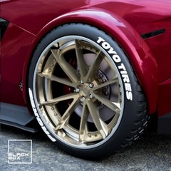 1:25-1:24 Scale Resin S204 Style Rims and Tires With Brakes-Unpainted