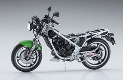 Hasegawa 1/12 Kawasaki KR250 (KR250A) Plastic Model Kit BK12
