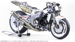 PLATZ/BEEMAX 1/12 SUZUKI RGV-GAMMA (XR79) 1993 WGP500 CHAMPION Model Kit BX13001