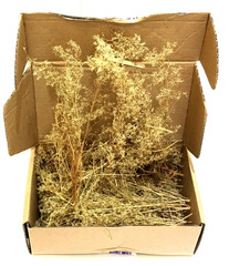 Scene Architectural DIY Model Sand Vegetation Thorns Quinoa Military Materials