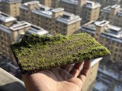 Fake Moss Grass Mat for 1/6 1/12 Soldier Model Diorama Landscape Base Decor