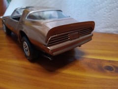 Pro Built Super Detailed Custom paint 1/25 Scale Model. They’re Amazing