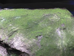 1/35 Scale Military Diorama Base Terrain Display Model Soldiers Figures Diecast