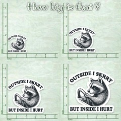 314PI (3pcs) Outside I Skrrt but Inside I Hurt Sticker, Size 3″, Multi