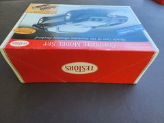 Testors Pontiac Firebird 1/24 4083 snap together
