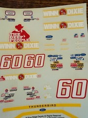 Nascar Mark Martin #60 Winn Dixie Ford Thinderbird 1:24 Decal Blue Ridge Decals