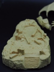 WEDLOCK , The Dragon, JJ Models Italy, 205x130mm Resin Fantasy Figure, Brand NEW