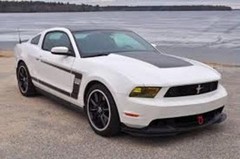 Ford Mustang BOSS 302 Special Stripes 1/24th – 1/25th Scale Decals
