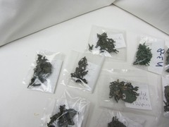 Roco Minitanks DBGM #141 US Army Artillery Group Figure Sets U Pick