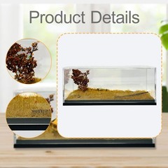 Model Car Display Case 1:64 Photo Prop Showcase Organizer Miniature Scene