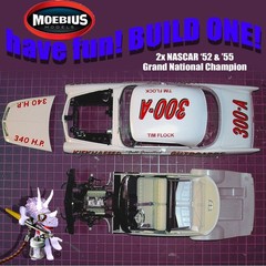 MOEBIUS MODELS 2302 1/25 1956 CHRYSLER 300B OF NASCAR 2XCHAMP TIM FLOCK KIT