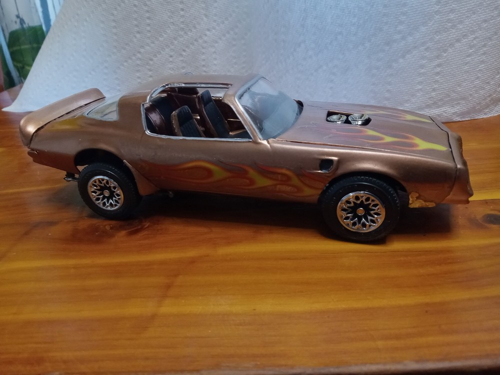 Pro Built Super Detailed Custom paint 1/25 Scale Model. They’re Amazing