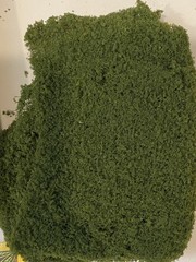 Woodland Scenics TK13 5 Trees Straight Trunk 2-1/2″ Tall Kit SEALED