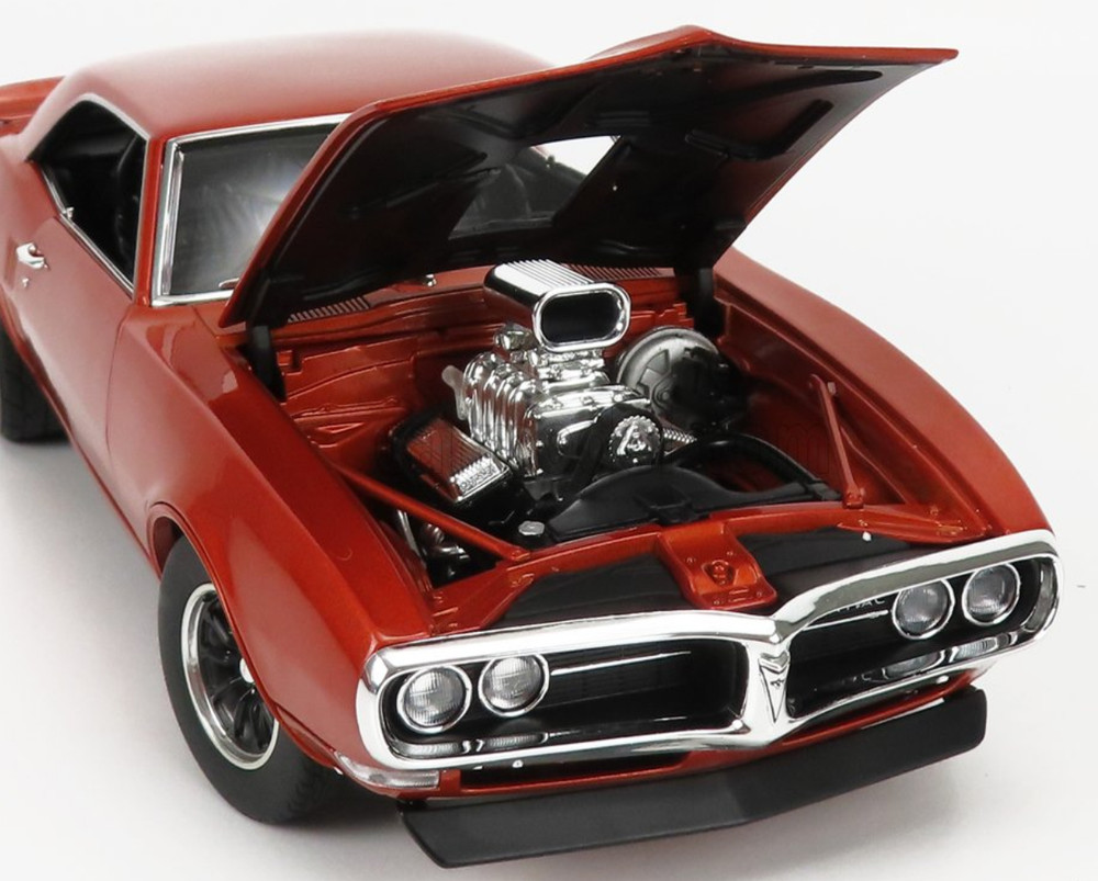 Firebird Pontiac 1967 1969 1970 1973 1977 1:18CUSTOM BUILT12METAL BODY MODEL24