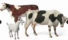 Master Box 3566 Domestic Animals Milk Cow Plastic Model Scale 1/35