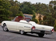 Ford Thunderbird1 24T bird Chopped Custom Built Metal Model12Car18 1964gt1965