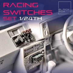 Racing Switches 1/24 Scale