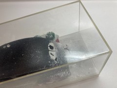 Built Car Model Ford custom display in plastic case