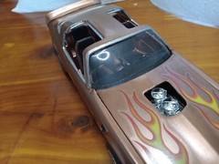 Pro Built Super Detailed Custom paint 1/25 Scale Model. They’re Amazing