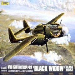 GreatWall 1/48 L4806 USAAF Northrop P-61A “Black Widow” Glass Nose Top quality