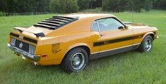 1970 Ford Mustang or Torino Twister spl 1/24th – 1/25th Scale Decals