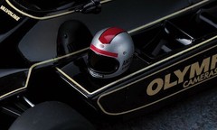 Hasegawa 1/20 LOTUS 79 German GP Winner 1978 Detail Up Version Model kit