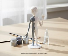 Alien Rosewell 7 Inch Unassembled Plastic Model Kit