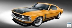 Ford Mustang BOSS 302 Special Stripes 1/24th – 1/25th Scale Decals