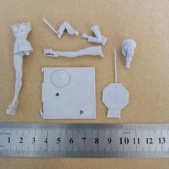 1/24 Resin Figure Model Kit Female Police Officer Unassembl, Unpainted Model Kit