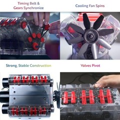 V8 Combustion Engine STEM Model Kit – Educational Fun for Adults & Kids 12+