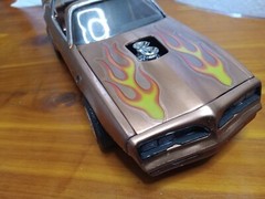 Pro Built Super Detailed Custom paint 1/25 Scale Model. They’re Amazing