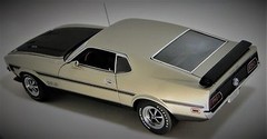 Ford Mustang RAM AIR 1 Custom Built Metal Body Model 24 Hot Rod 12Race Car 18 GT