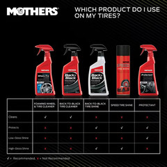 15 Oz. Speed Tire Shine Aerosol Spray