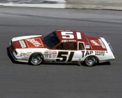 Ace Decals #10 DiGard/#51 Bill’s Bar-B-Q Greg Sacks 1/24 waterslide Nascar decal