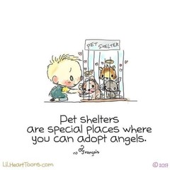1/25 AMT 1556 — 1951 Chevy Custom Cruiser Model Kit – 3-in-1 Stock/Custom/Drag